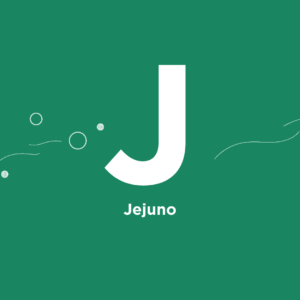 Jejuno